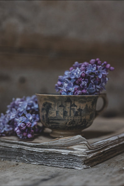Chateau Scene Rustic Crazed Cup