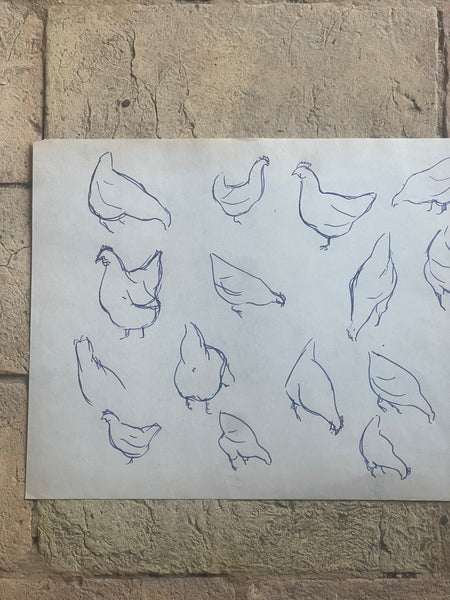 1948 French Chicken Sketch