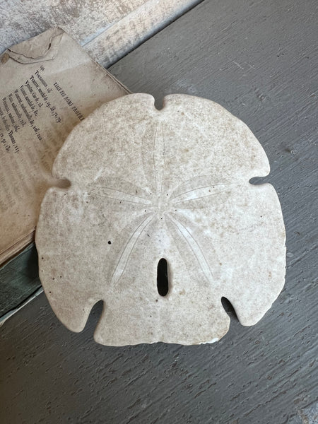 Vintage Urchin