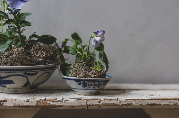 Antique Hand Painted Bowls