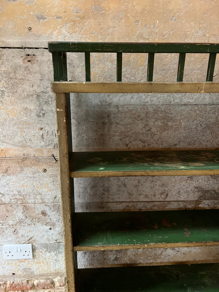 Rustic Chippy Paint Green Book Shelf