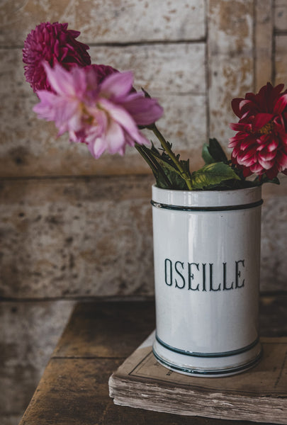 Gorgeous French Sorrel Pot