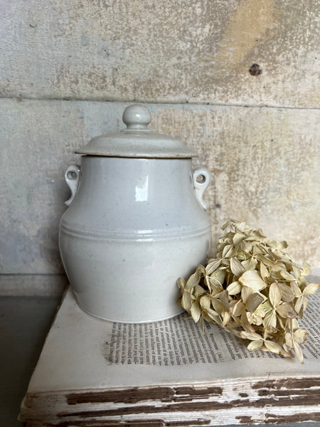 Elegant White French Confit