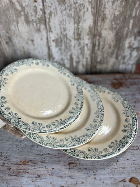 Antique French Conker Transferware Plates