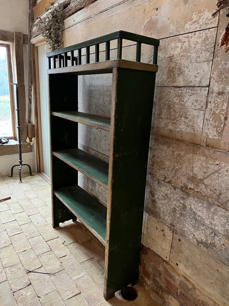 Rustic Chippy Paint Green Book Shelf