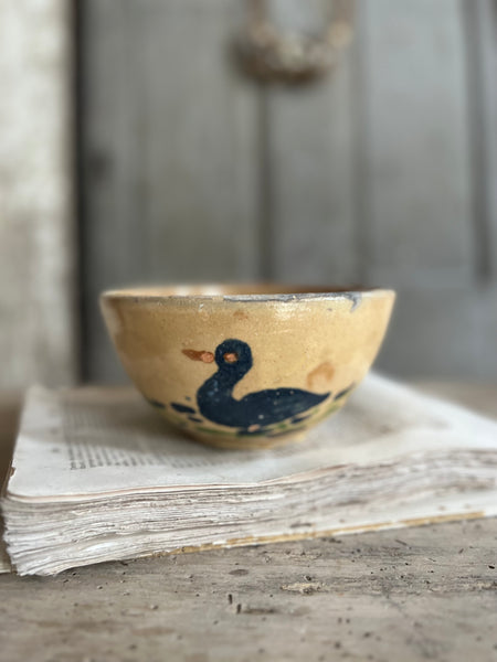 Beautiful Provençal Duck Bowl