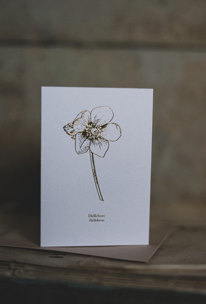 And So It Begins Hellebore "Mini" Card