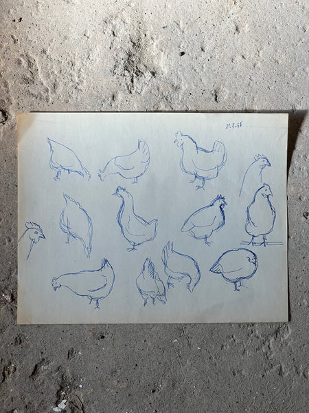 1948 French Chicken Sketch