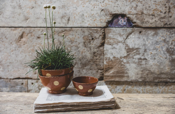 Vintage Dotty Bowls from