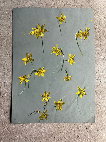 Gorgeous Daffodil Vintage Painting