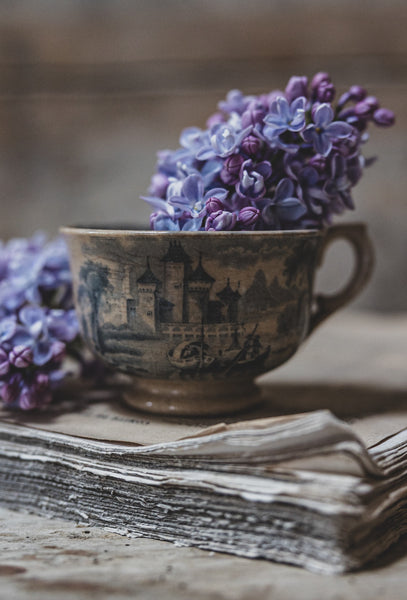 Chateau Scene Rustic Crazed Cup