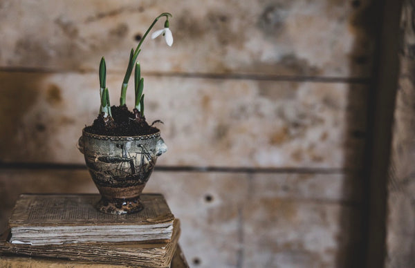 Antique Transferware Chalice