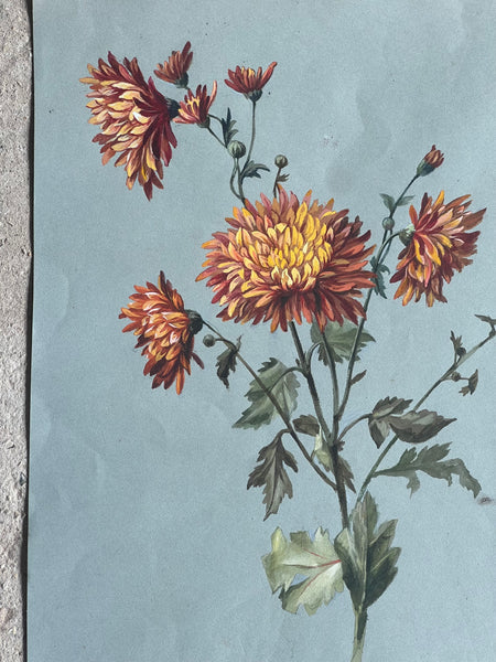 Gorgeous Dahlia Vintage Painting