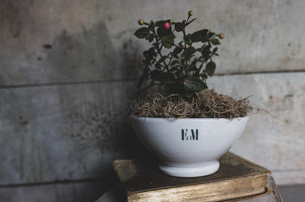 Sweet French Vintage Initialed Cafe au Lait