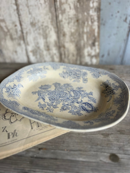 Asiatic Pheasant Dish