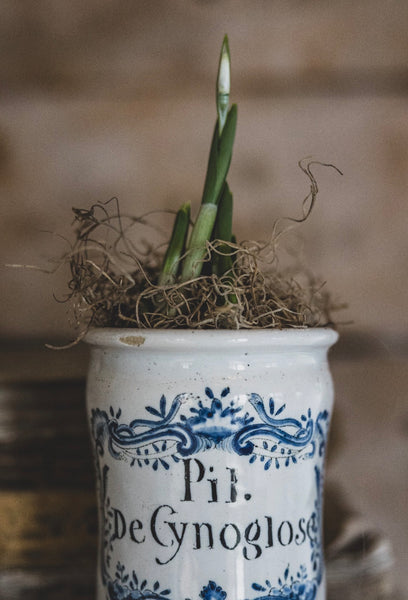 Antique Apothecary Jar