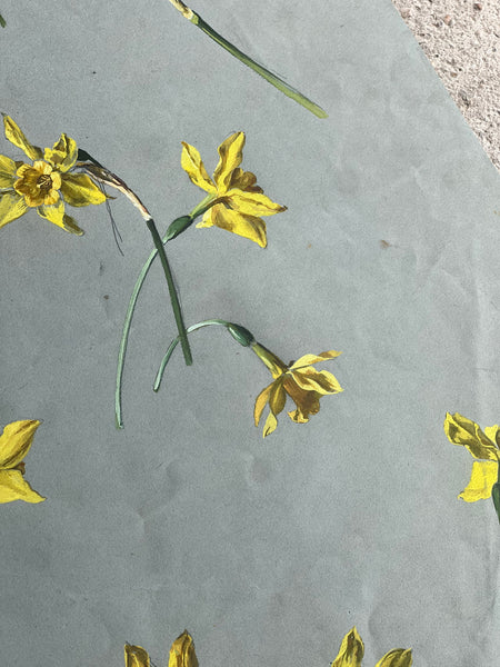 Gorgeous Daffodil Vintage Painting