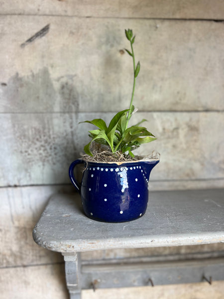 Sweet Vintage Blue Jug