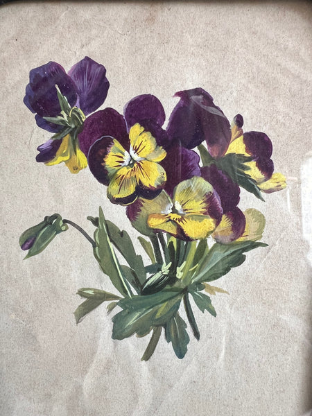 French Antique Floral Pansy Painting