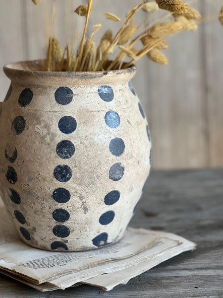 Stunning Spotted Pot