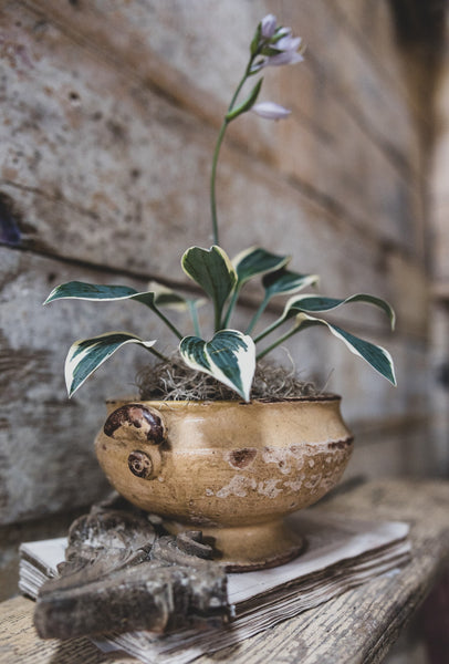 Vintage Rustic Tureen