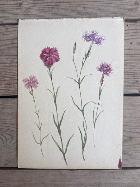 Beautiful Floral Watercolour Painting