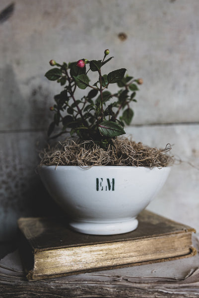 Sweet French Vintage Initialed Cafe au Lait