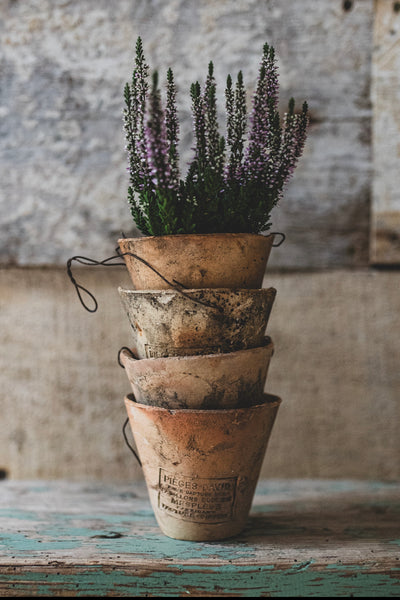 Antique French Pine Resin terracotta pots