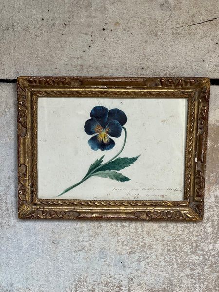 Small Framed French Vintage Floral Painting 1849