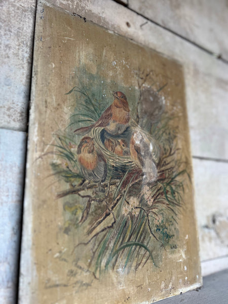 Antique Bird Painting 1894