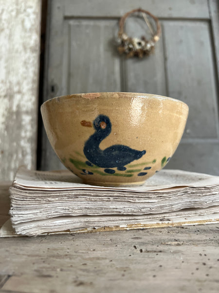 Beautiful Provençal Duck Bowl