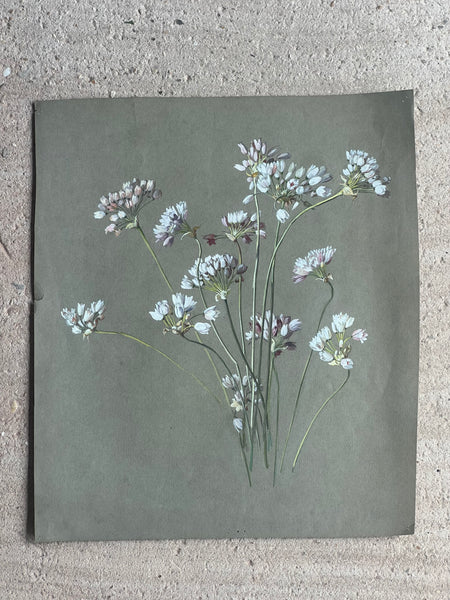 Gorgeous Floral Vintage Painting