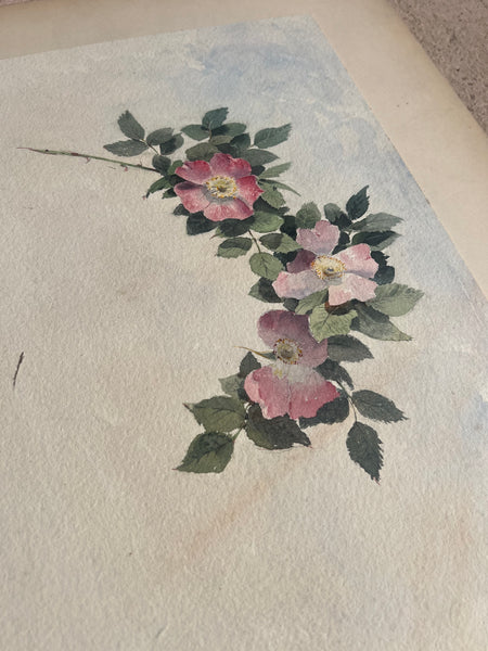 Beautiful Watercolour Painting