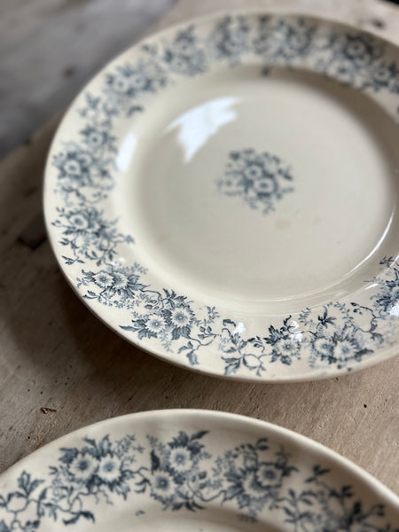 Lovely Longchamp Dishes