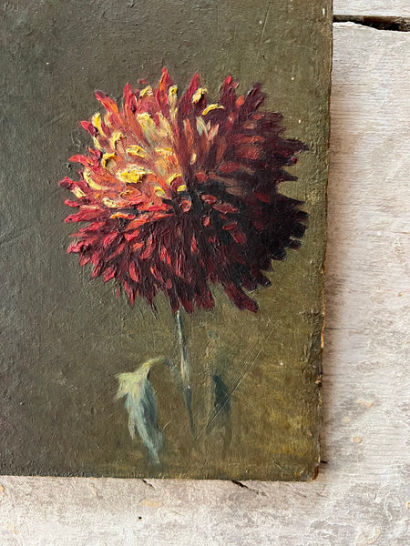 Small Floral Oil on Board