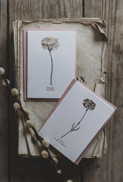 And So It Begins Marigold & Carnation "Mini" Card