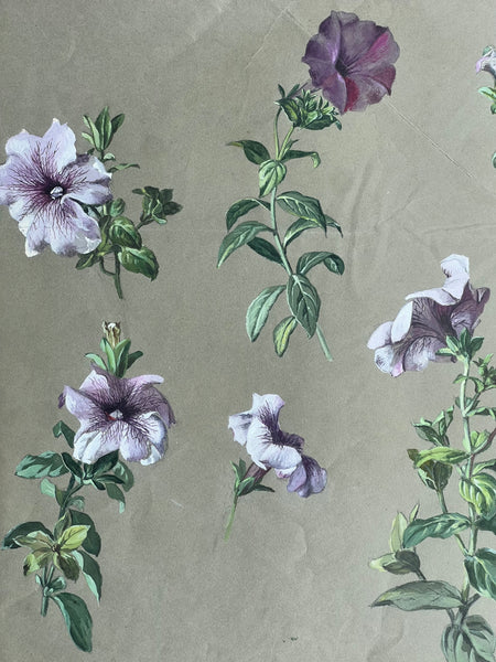 Gorgeous Petunia Vintage Painting