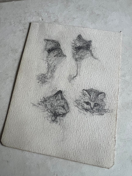 Sweet French Cat Sketch