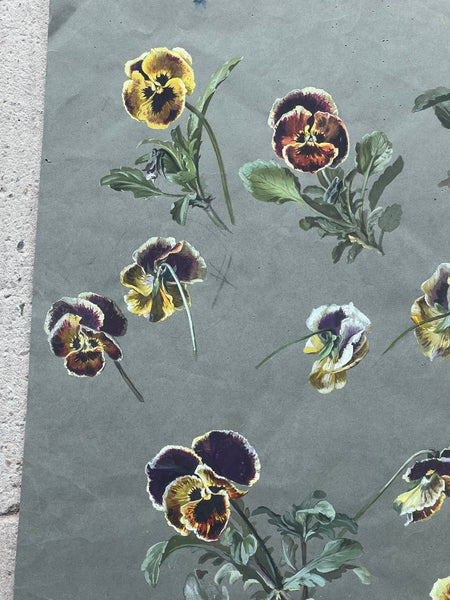 Gorgeous Pansy Vintage Painting