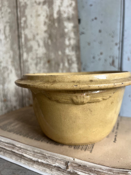 Beautiful Yellow French Bowl