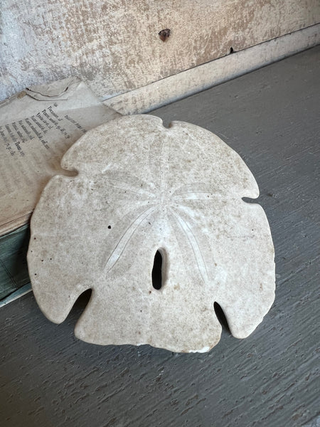 Vintage Urchin