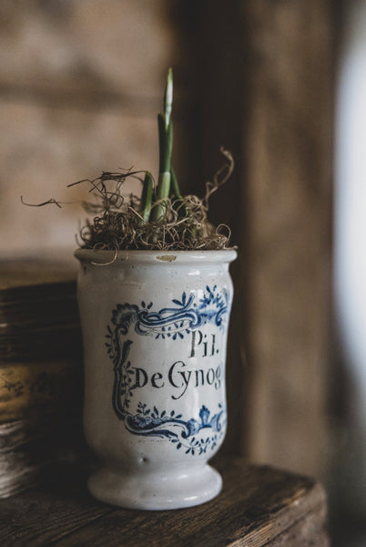 Antique Apothecary Jar