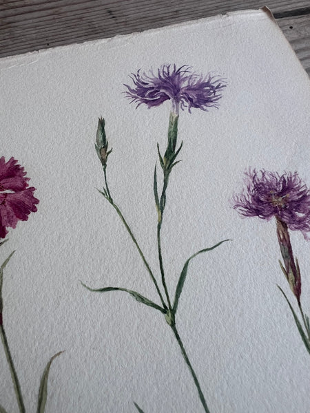 Beautiful Floral Watercolour Painting