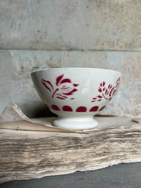 Crisp Stencilled Cafe Au Lait