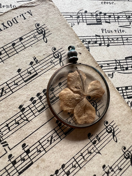 Four Leaf Clover