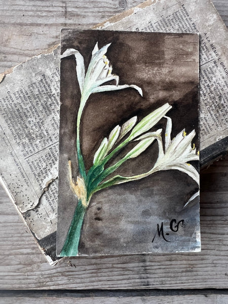 Sweet Painted Postcard