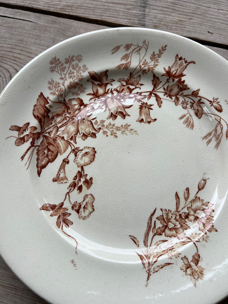 Brown Vintage Floral Plate