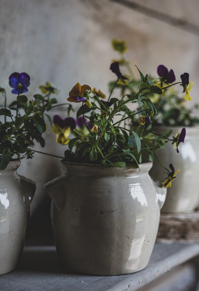 Small French Confit Jars
