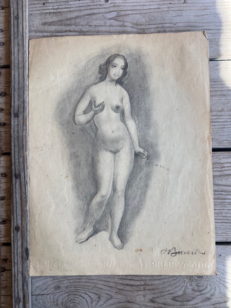 Beautiful Sketched Nude