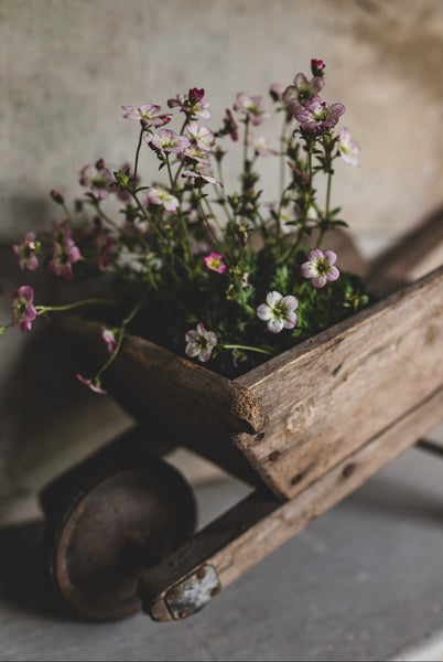 Rustic Wheelbarrow